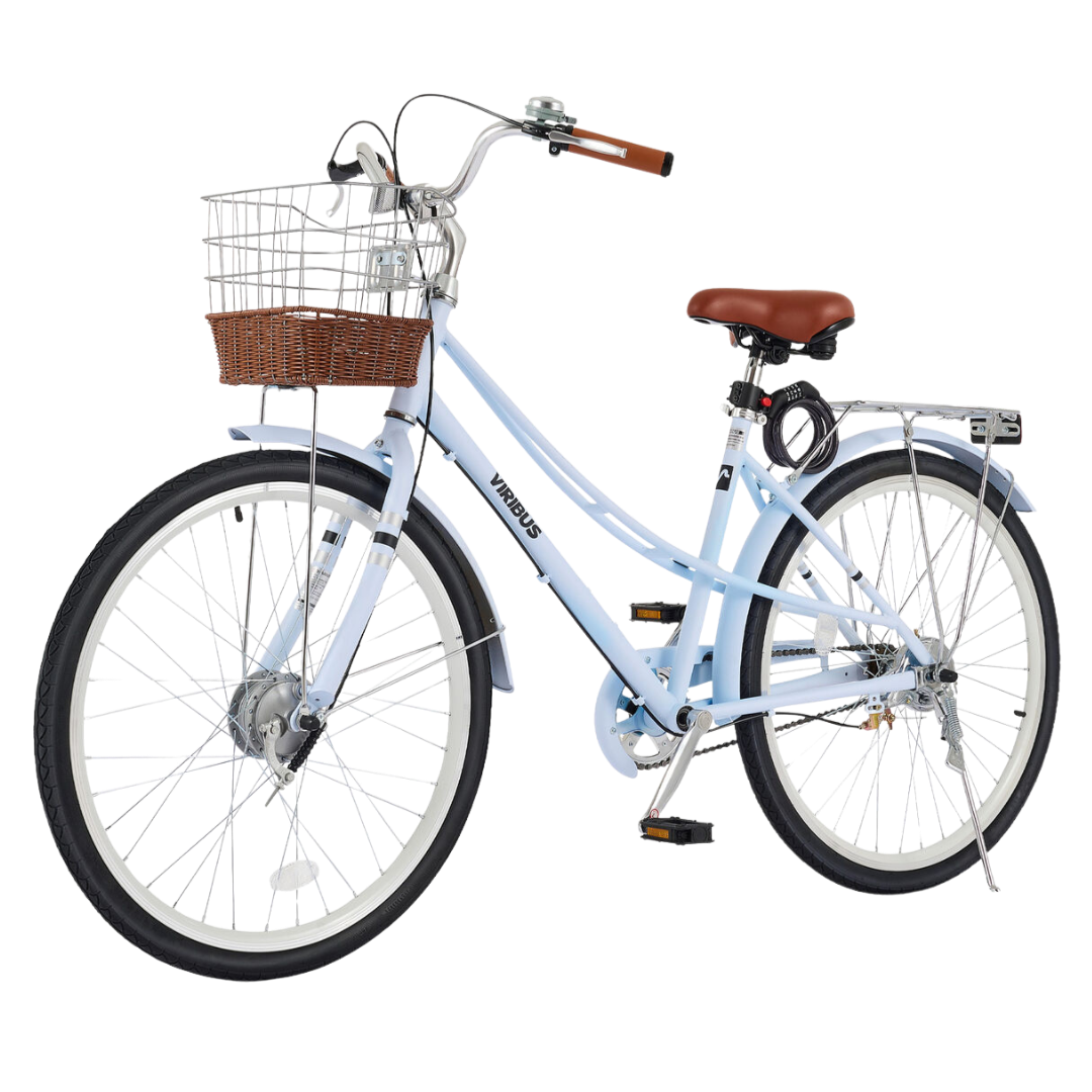 Beach Bike Rentals